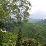 Cameron Highlands